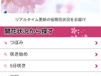 MapFan、お花見特集を無料公開…全国1000か所以上の名所情報と開花状況 画像