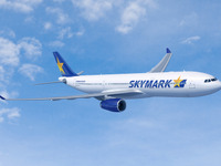 スカイマーク、路線ネットワーク縮小で搭乗率が前月比13.5ポイント大幅改善…2月 画像