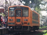 津軽鉄道、芦野の桜イベントで臨時列車運行 画像