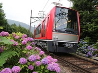 箱根登山鉄道、今年の『夜のあじさい号』は「アレグラ」も使用 画像
