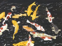 新「モーレツ娘」のあの子はスピードマニアだった!? 画像