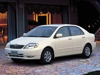 2強でトップ10! ---トヨタとホンダの競争激化に3番手以下は? 画像