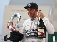 【F1】ルイス・ハミルトン、メルセデスとの契約延長を発表…2018年まで 画像