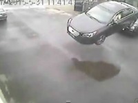 スバル レガシィ 新型、カナダで大事故…空を飛ぶ［動画］ 画像
