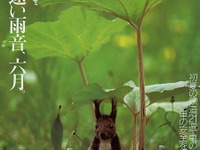 衝突安全実験にかかせない、人体ダミーはこうなっている 画像