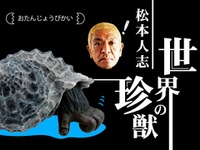 松本人志プロデュースの“カプセル怪獣”…スマホをかざせば鳴き声が 画像