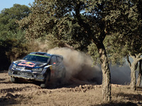 【WRC 第6戦】VW オジェ選手、逆転で今季4度目の優勝 画像