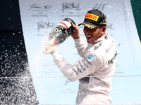 【F1 イギリスGP】ハミルトン、度重なる波乱にも屈しず母国2連覇…アロンソは今季初ポイント 画像