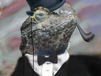ハッカー集団の17歳メンバーを逮捕…容疑5万件も執行猶予 画像