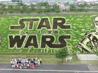 横幅150mのド迫力アート…『スター・ウォーズ』が田んぼに降臨 画像