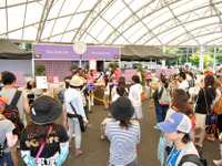 【SUPER GT 第4戦】女性に嬉しい「レース女子カフェ」登場…涼みながら観戦も 画像