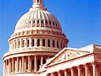 ハイウェイで携帯電話を認める州は予算カット? 画像