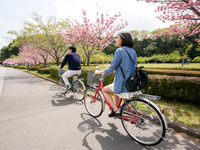 東京海上日動、インターネットで手続きが完了する自転車保険を発売 画像