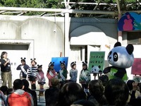 10月28日はパンダの日…上野動物園でイベント　歴代パンダの飼育裏話など 画像