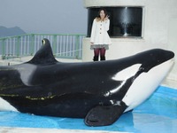 鴨川シーワールド、水族館の水槽前での“お泊りイベント”今年も開催 画像
