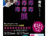 毒があるから美しい…「毒を持つ生き物」だけを集めた特別展が人気 画像