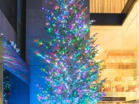 40年近く続いた銀座の風物詩、ミキモトのクリスマスツリー…今年で見納め 画像