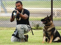 横田基地友好祭の隠れた人気アトラクション「K-9」 画像