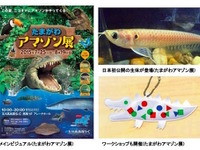 【夏休み】“タマゾン”川のたもと、玉川高島屋で「アマゾン展」開催 画像