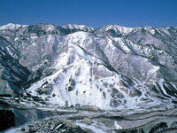 渋滞知らずのJR「SKISKI」、人気エリアをネットで先行発売 画像