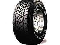 名前には充分配慮しました---フォードが日本でもタイヤ交換 画像