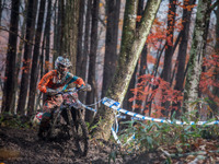 【JNCC 第8戦】最終戦での大逆転、渡辺学がタイトル死守 画像