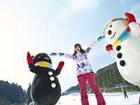 六甲山スノーパークが12月5日オープン 画像