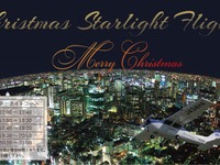 本田航空、東京の夜景を堪能する「クリスマススターフライト」を実施 画像