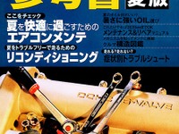 夏には夏のカーメンテがあるのだヨ 画像