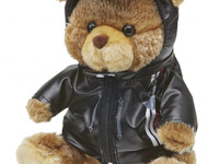 トライアンフ、認定中古車対象にキャンペーン…特別低金利で購入サポート 画像