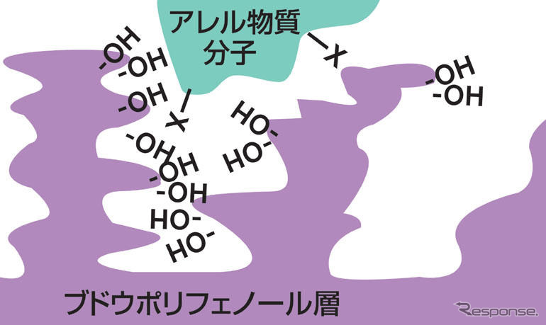 日産、花粉症の原因物質をほぼ除去できるエアコンフィルターを新開発