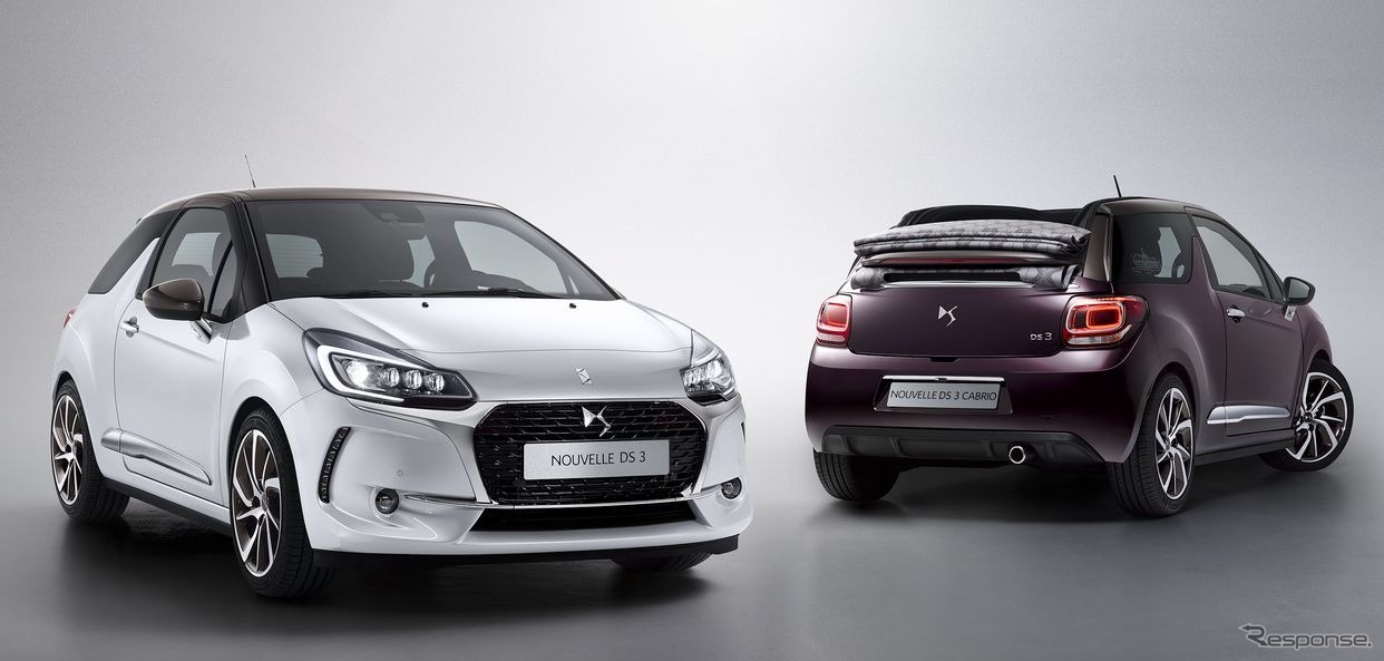 DS 3 改良新型