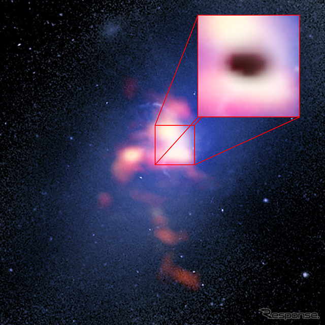 銀河団エイベル2597の中心にある巨大楕円銀河の疑似カラー画像