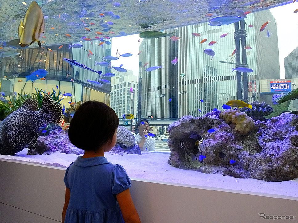 『Sony Aquarium』