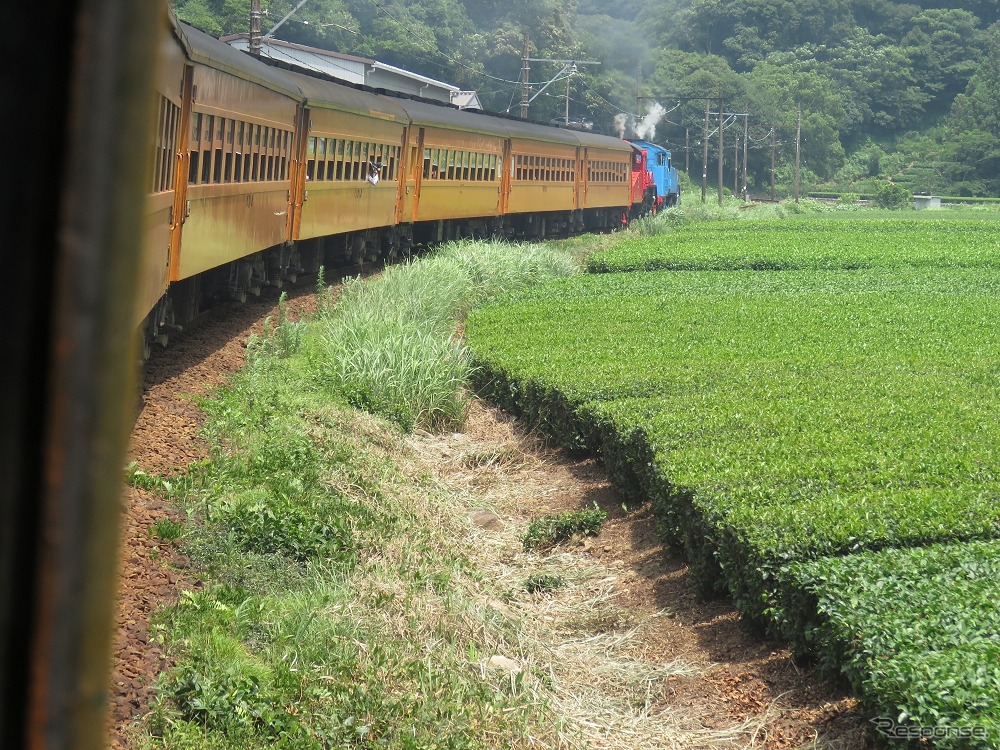 茶畑が広がるなか、千頭に向かって走る特別列車。