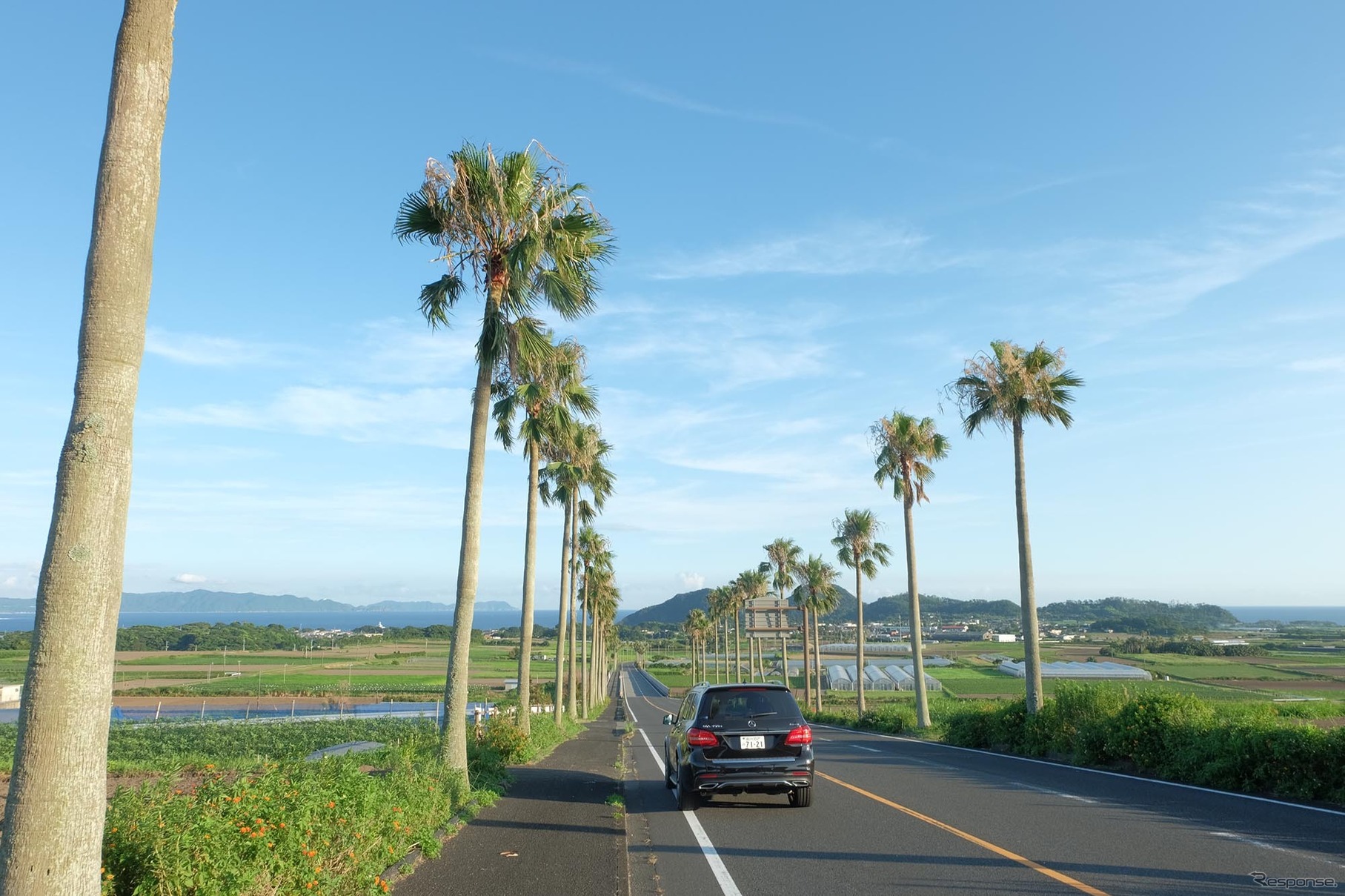薩摩半島最南端、長崎鼻に向かうロード。いよいよ南になったなという雰囲気が漂う場所だ。