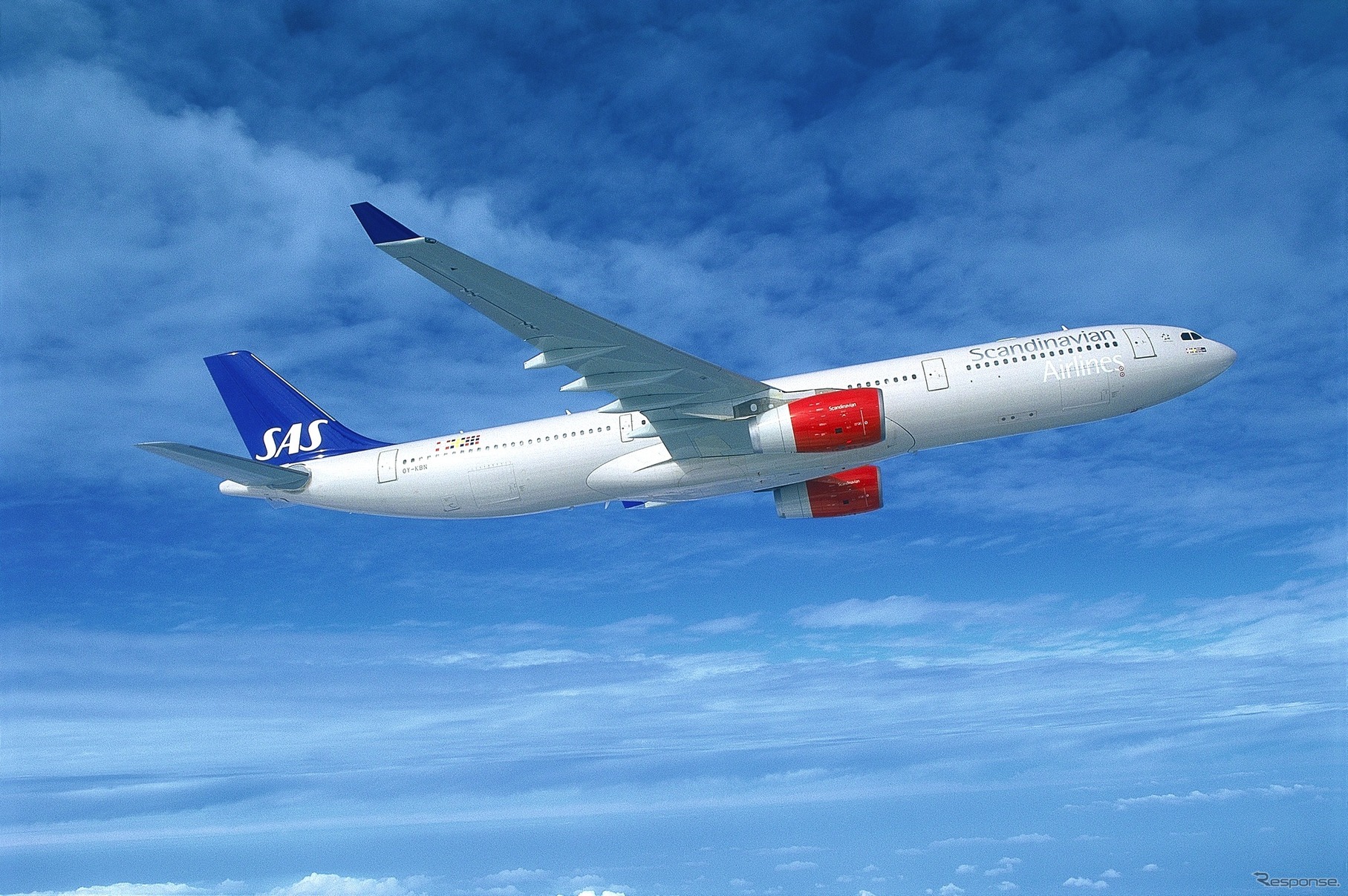 スカンジナビア航空機　source: SAS