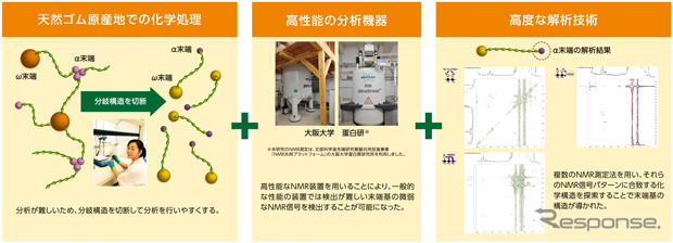 天然ゴムの末端基構造を解析