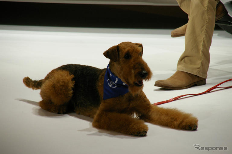【写真蔵】椎名桔平＆菅野美穂…トヨタ アイシス 新CM発表会