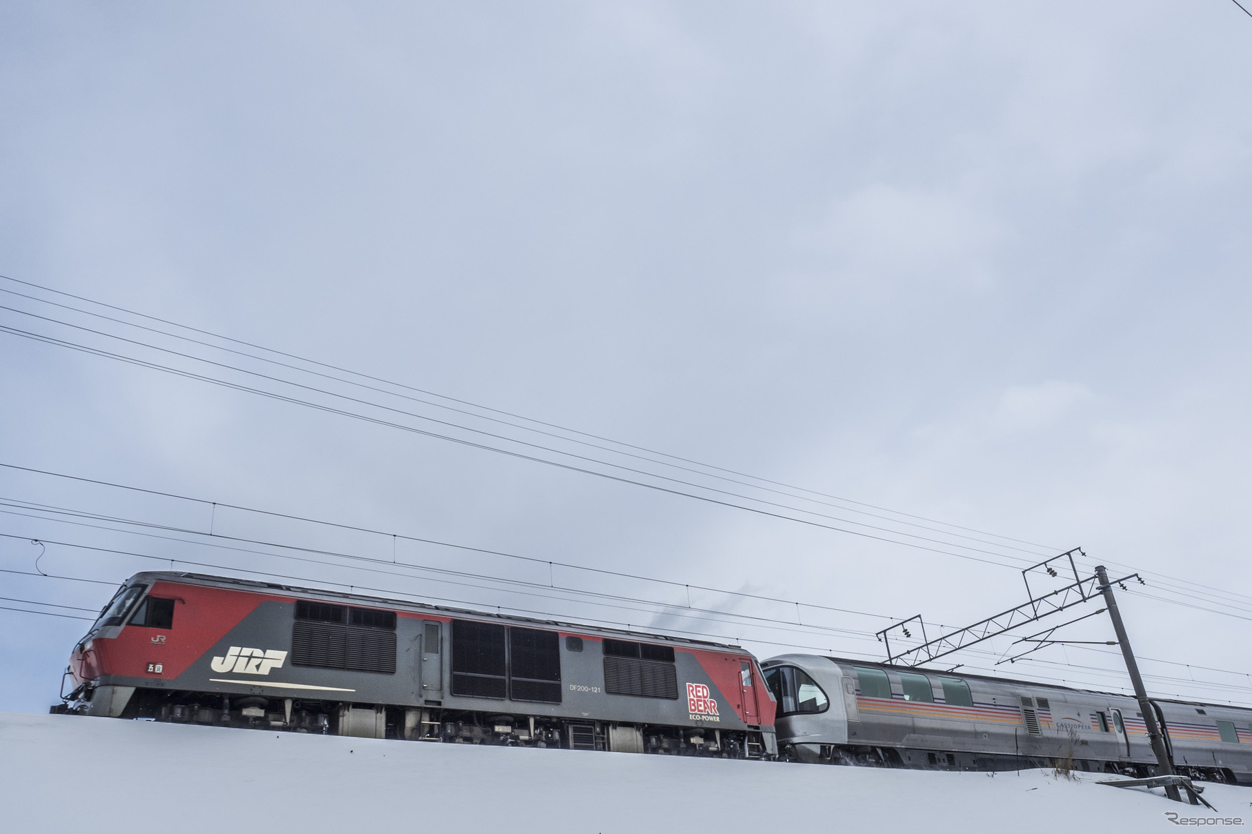 団体臨時列車として運行するようになってから牽引を担当したDF200形。