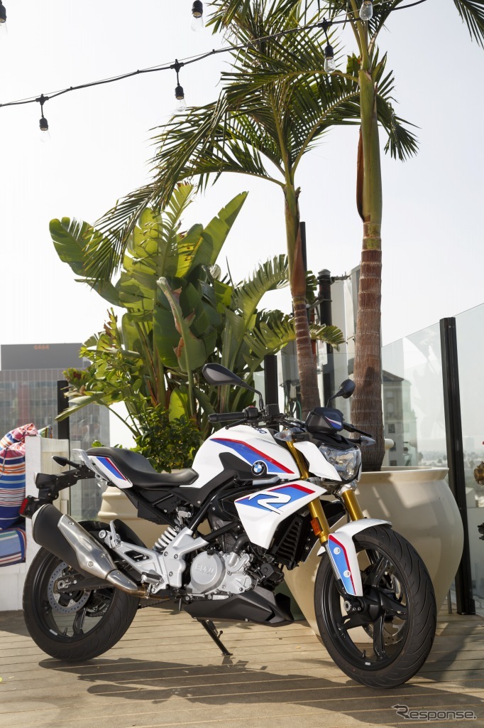 BMW G310R