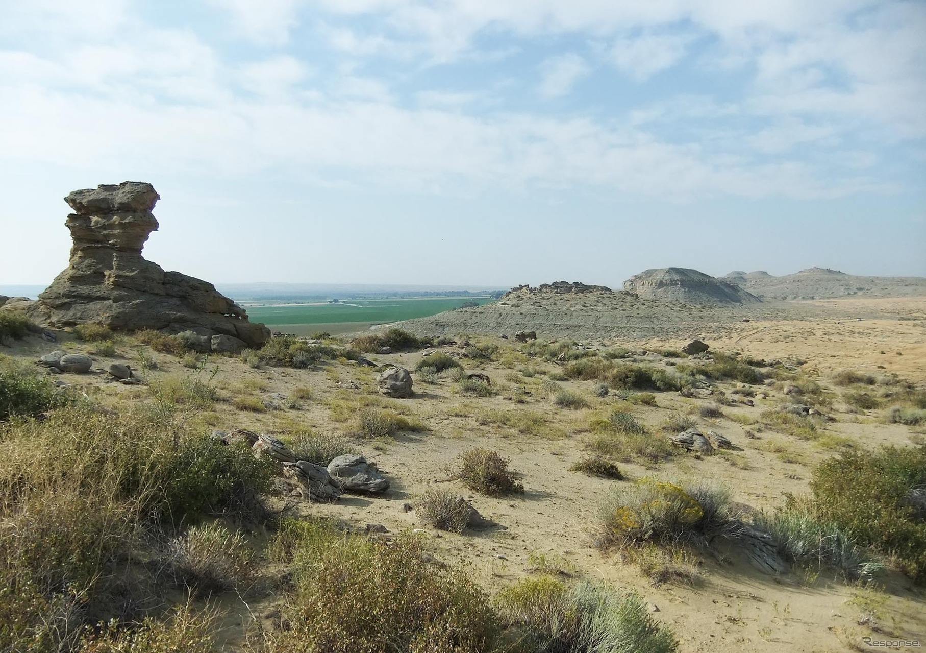 ワイオミングの風景。ウェスタンファンなら嬉しくなるところだろう。実際、カウボーイが昔ながらの姿で仕事をしている。