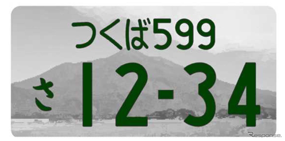 図柄入りナンバープレート（寄付金なし）の例