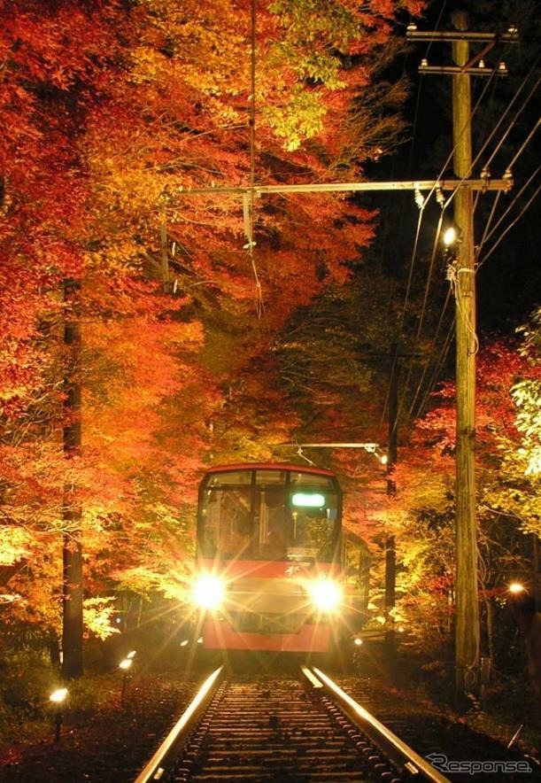 「もみじのトンネル」と呼ばれている叡山電鉄鞍馬線の市原～二ノ瀬間。今年もライトアップが実施される。