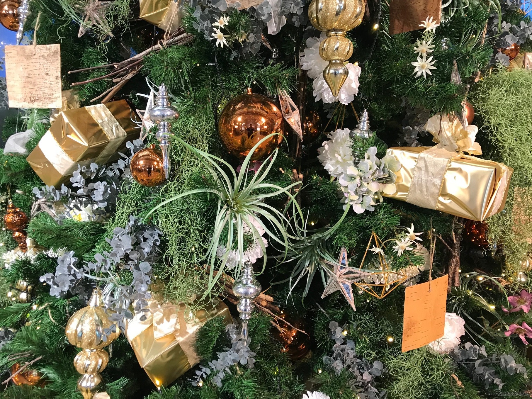 クリスマス（イメージ）