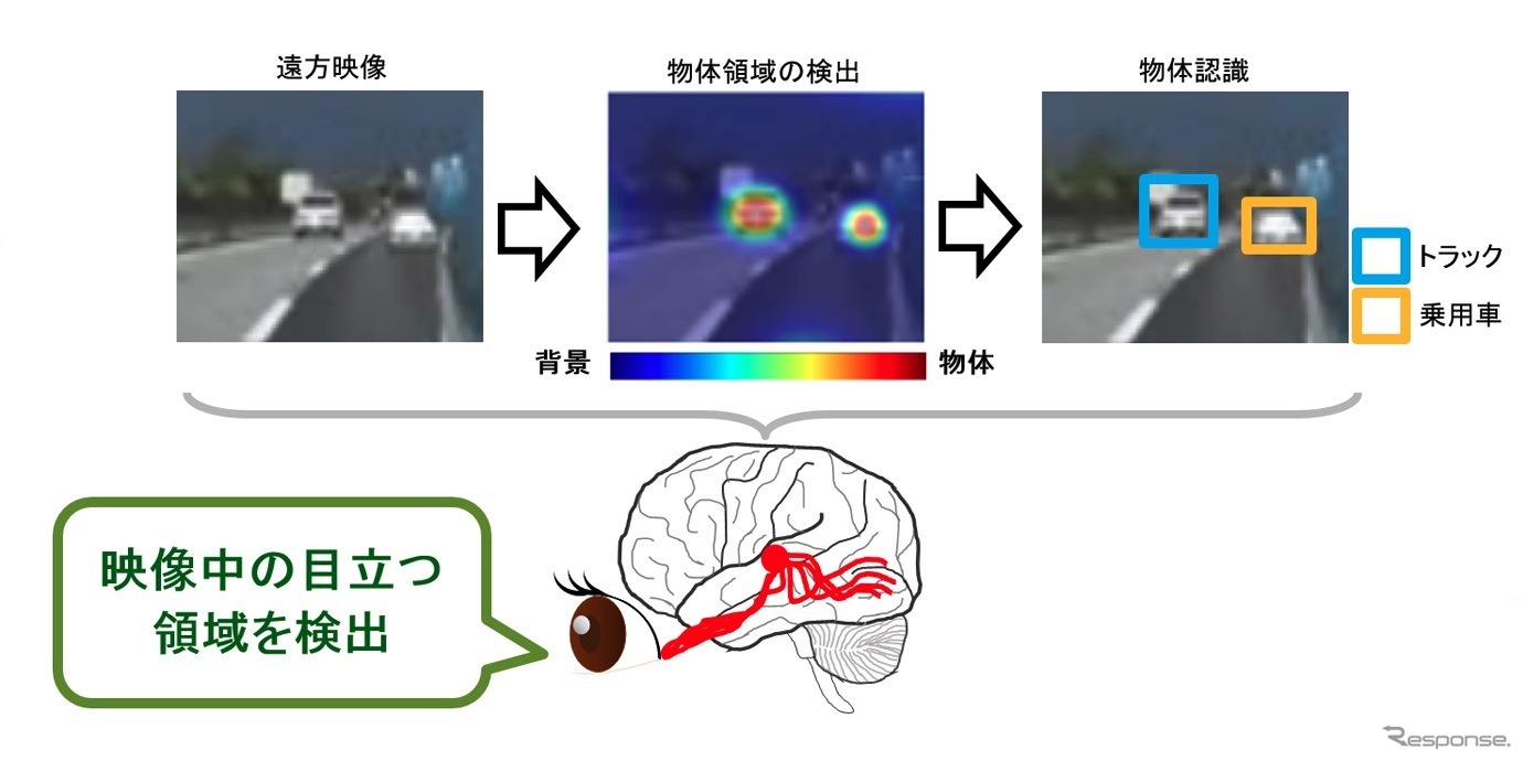 視覚認知モデルによる物体認識