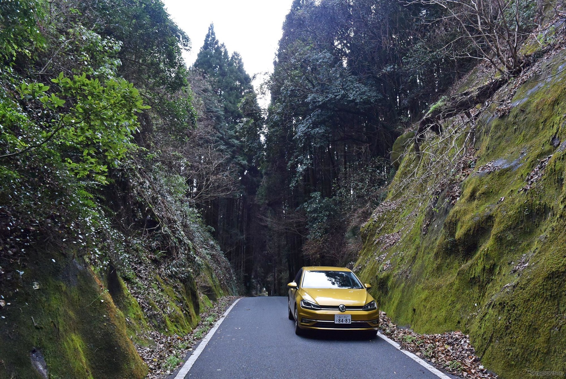 熊本北方、山鹿の山奥にて。