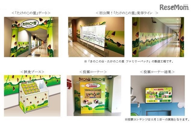 「たけのこの里」見学ラインを新設