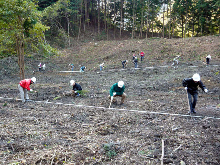 パジェロの森植林活動に、三菱自動車のボランティア50人が参加