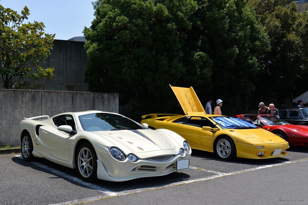 第1回 しぶかわ昭和の車展示会inスカイテルメ渋川